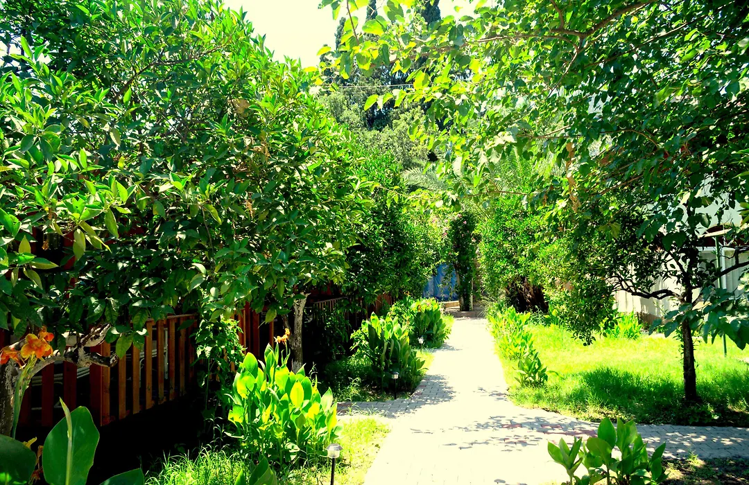 No:1281 Boutique Hotel-1
