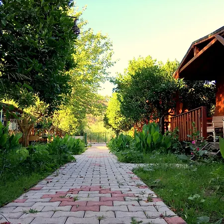 No:1281 Boutique Hotel-3